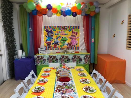 themed birthday party
