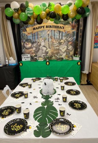 Themed Birthday party