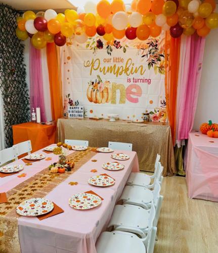 themed birthday party