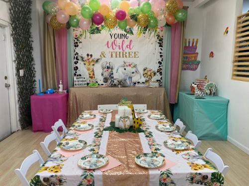 Themed Birthday party