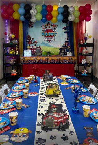 Themed Birthday party