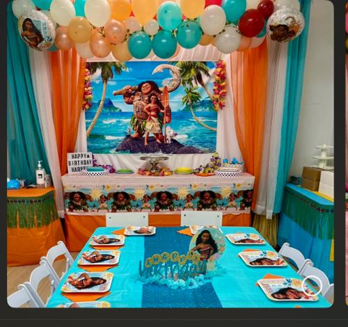 Themed birthday party