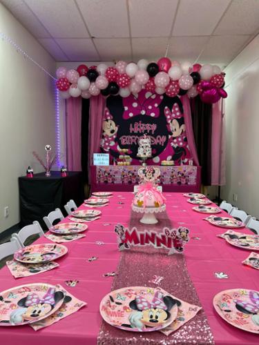 Themed Birthday party