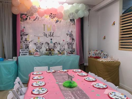 Themed Birthday party