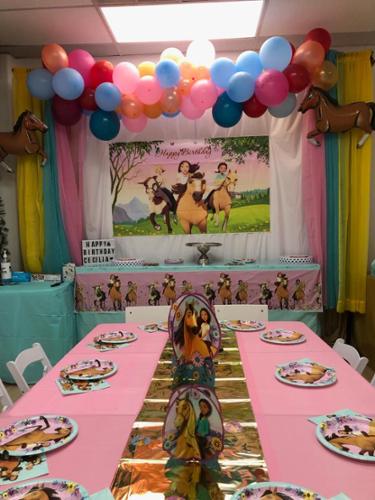 themed birthday party