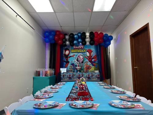 Themed Birthday Party