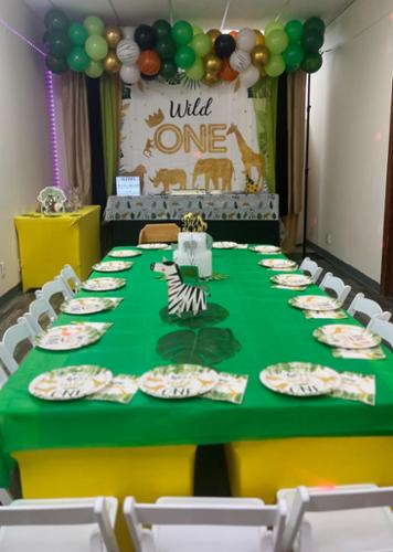 Themed birthday party